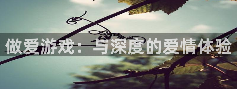 杏悦2旧版本下载：做爱游戏：与深度的爱情体验