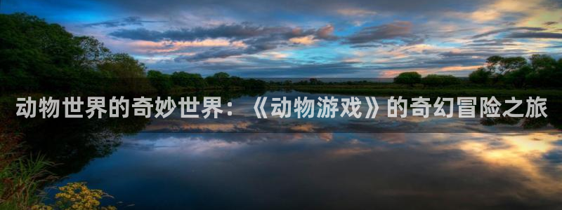 杏悦2主管