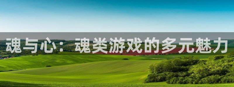 杏悦2主管